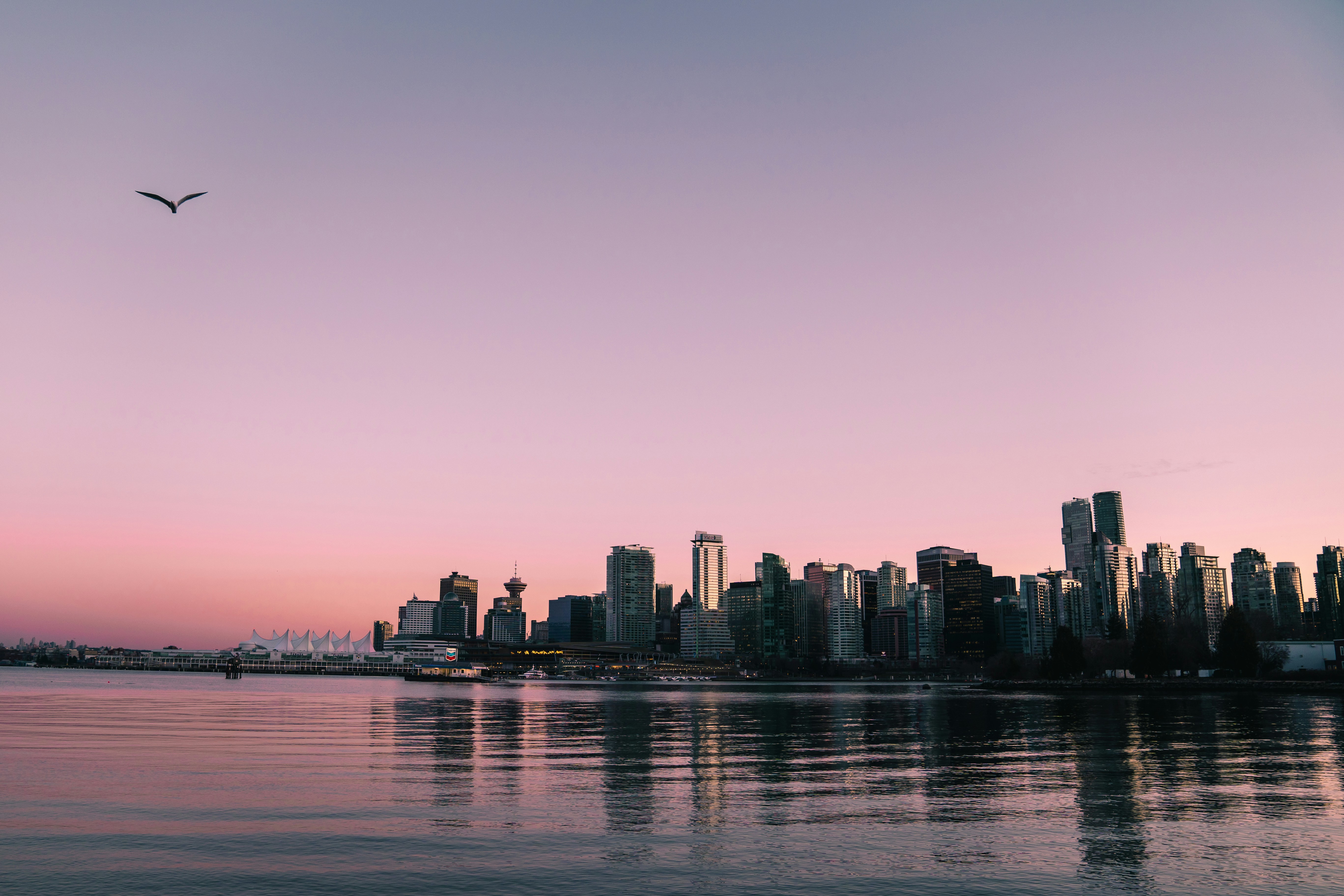 City Skyline city skyline wallpaper, 5470x3647