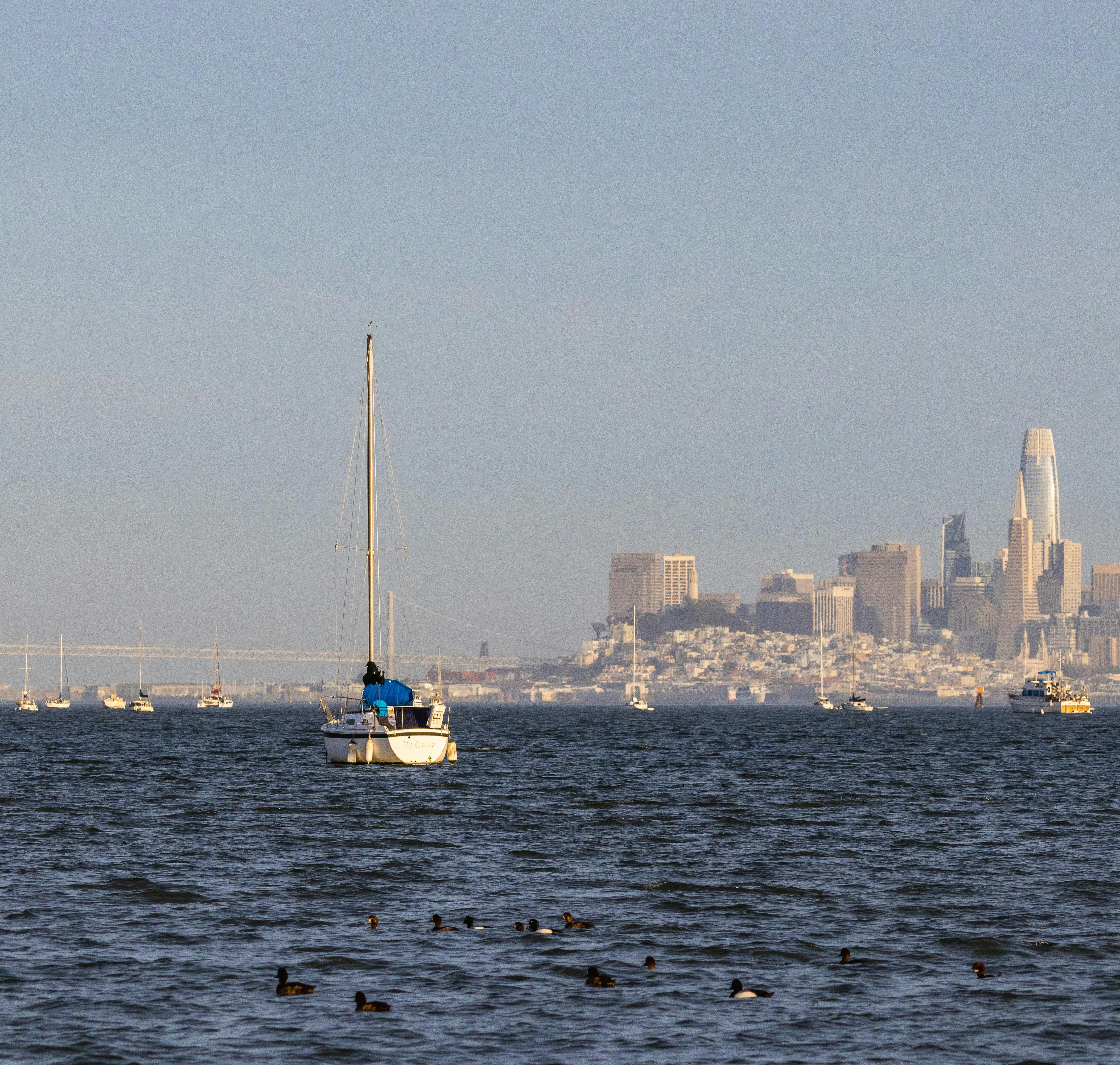 San Francisco, CA city skyline wallpaper, 4208x4000