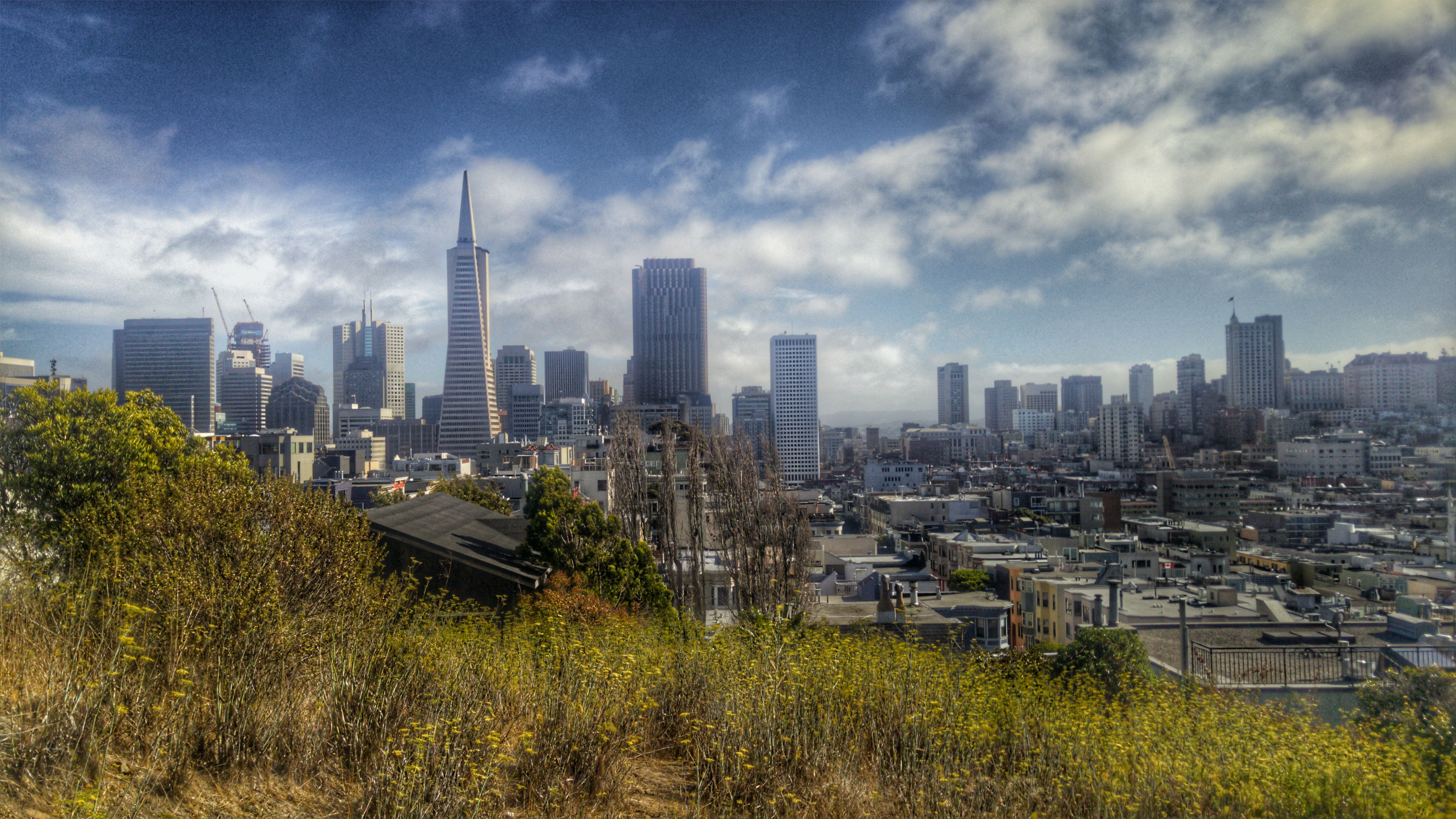 San Francisco, CA city skyline wallpaper, 5312x2988