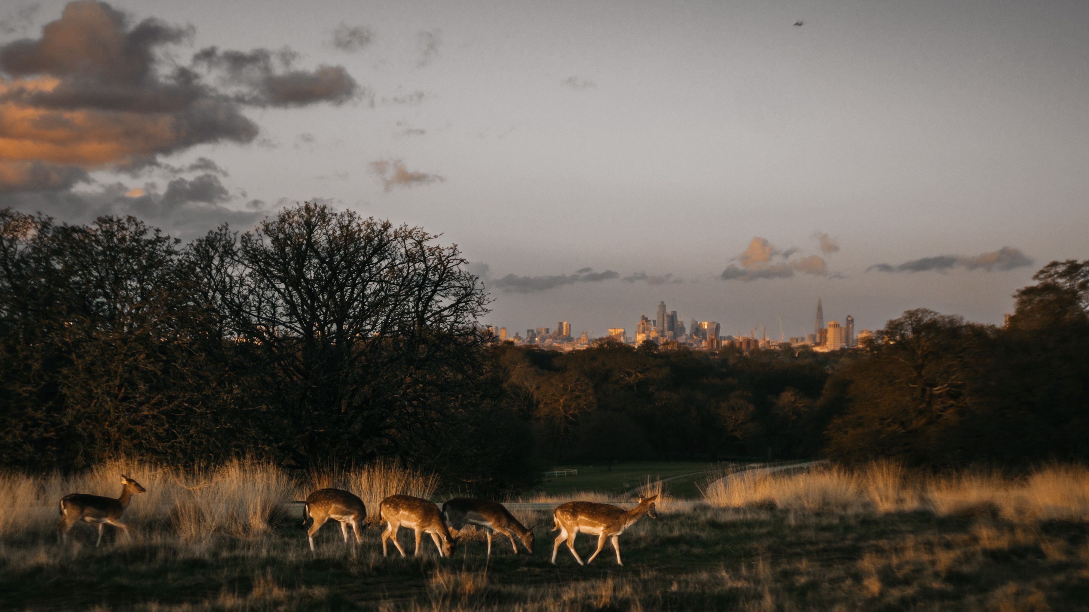 London Skyline city skyline wallpaper, 3623x2038