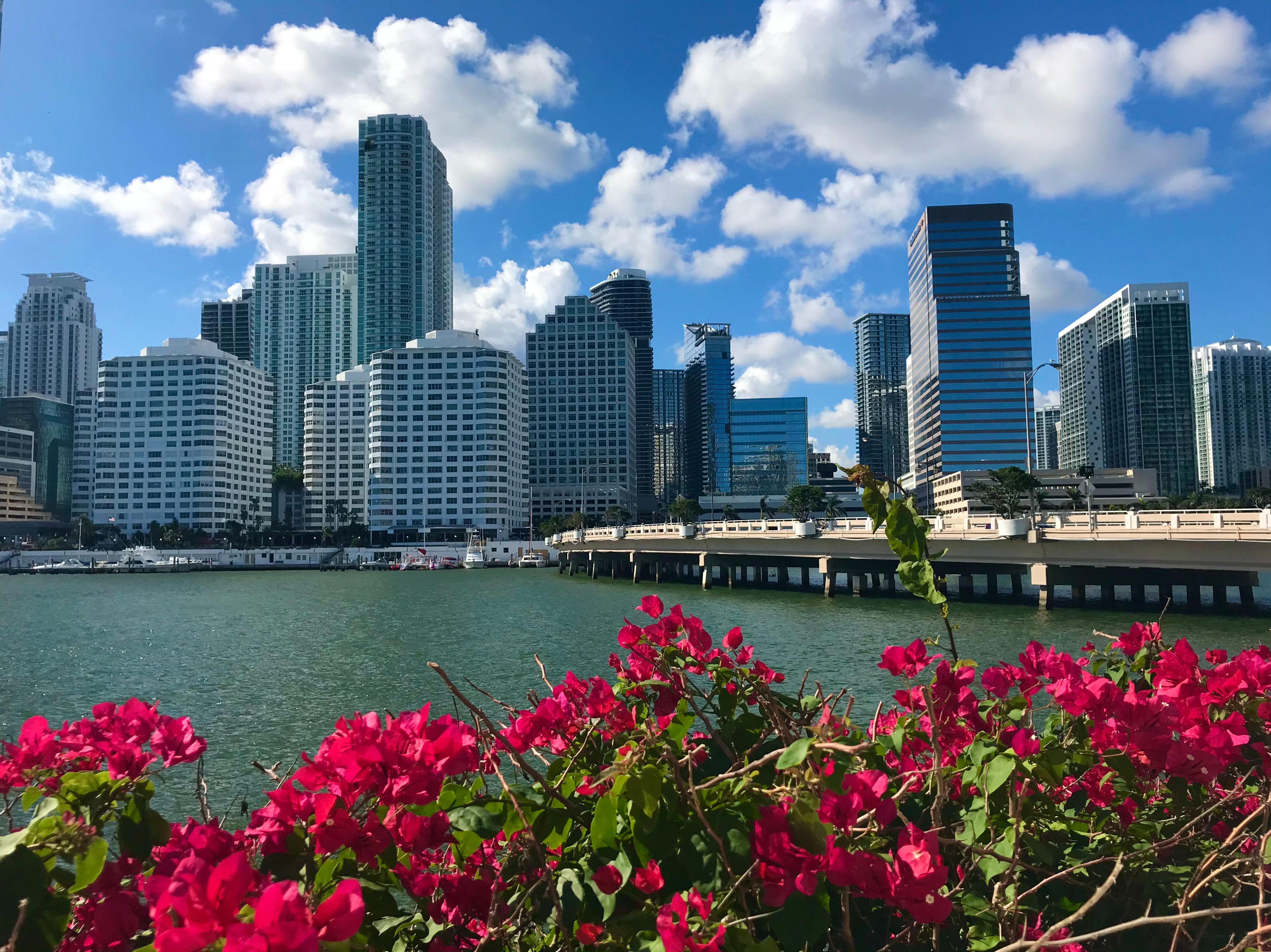 Miami, FL city skyline wallpaper, 3970x2976