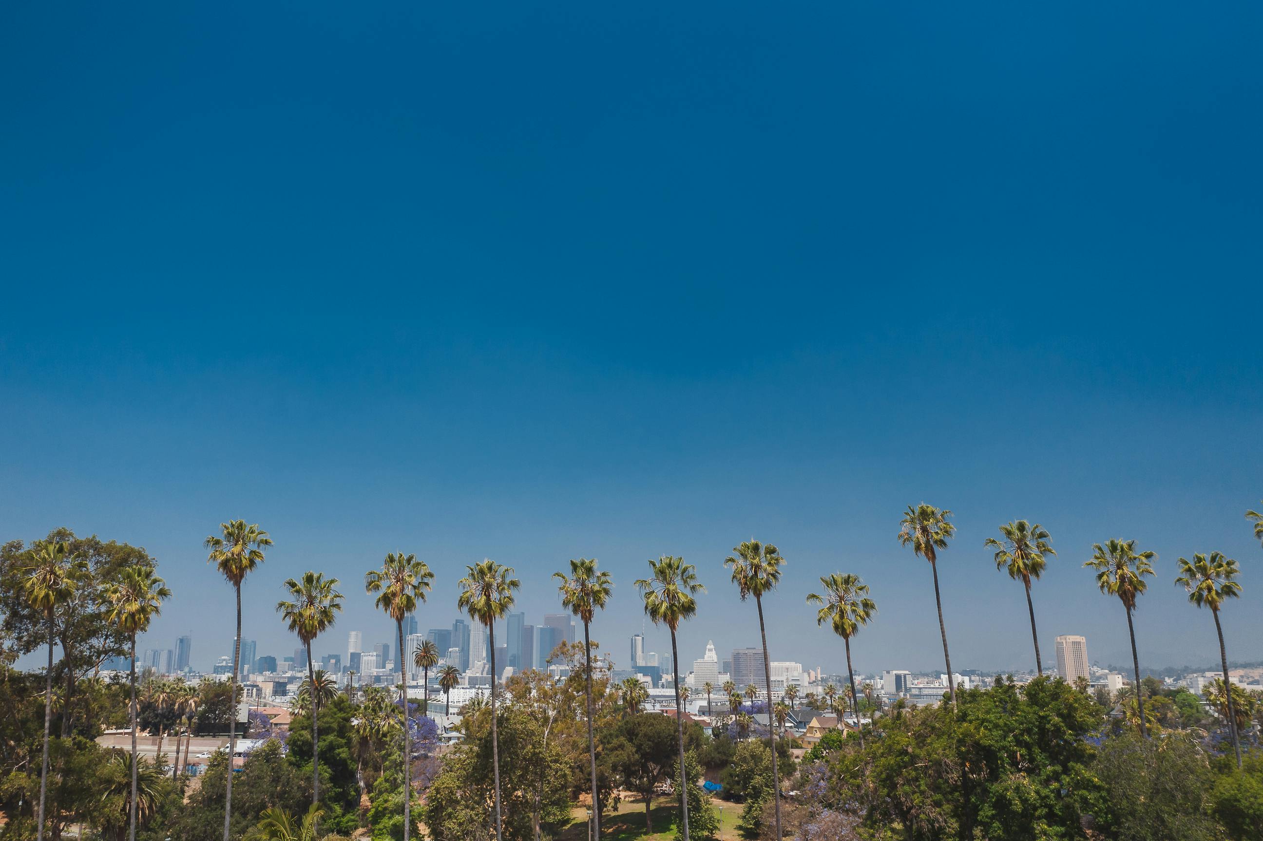 Los Angeles, CA city skyline wallpaper, 2592x1727